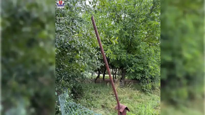 Nieszczęśliwy wypadek przy zbiorze wiśni