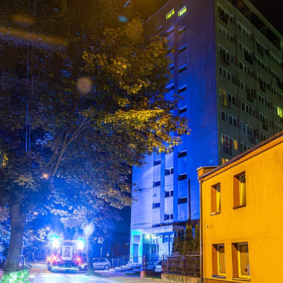 Nietoperz sparaliżował mieszkańców wieżowca. Strażacy ruszyli z pomocą w środku nocy