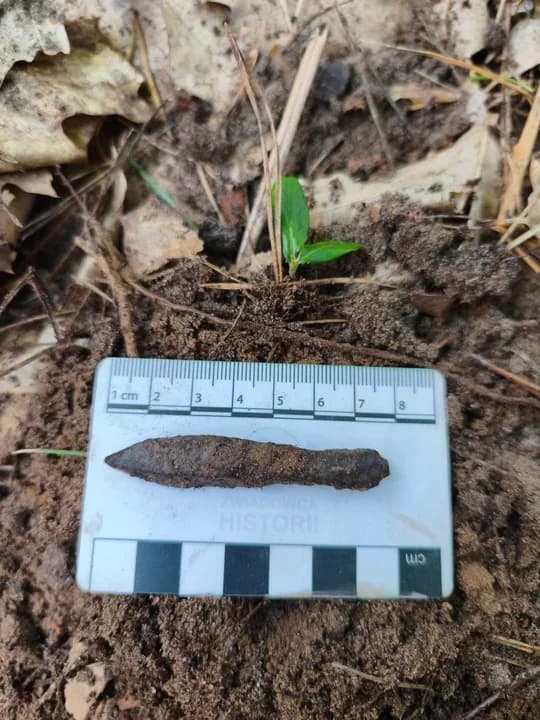 Niezwykłe odkrycia w lasach Nadleśnictwa Taczanów. Cenne historyczne artefakty w rękach poszukiwaczy