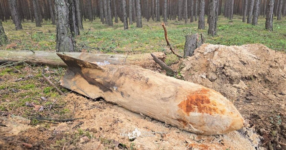 Niezwykłe odkrycie tuż za granicami powiatu koneckiego