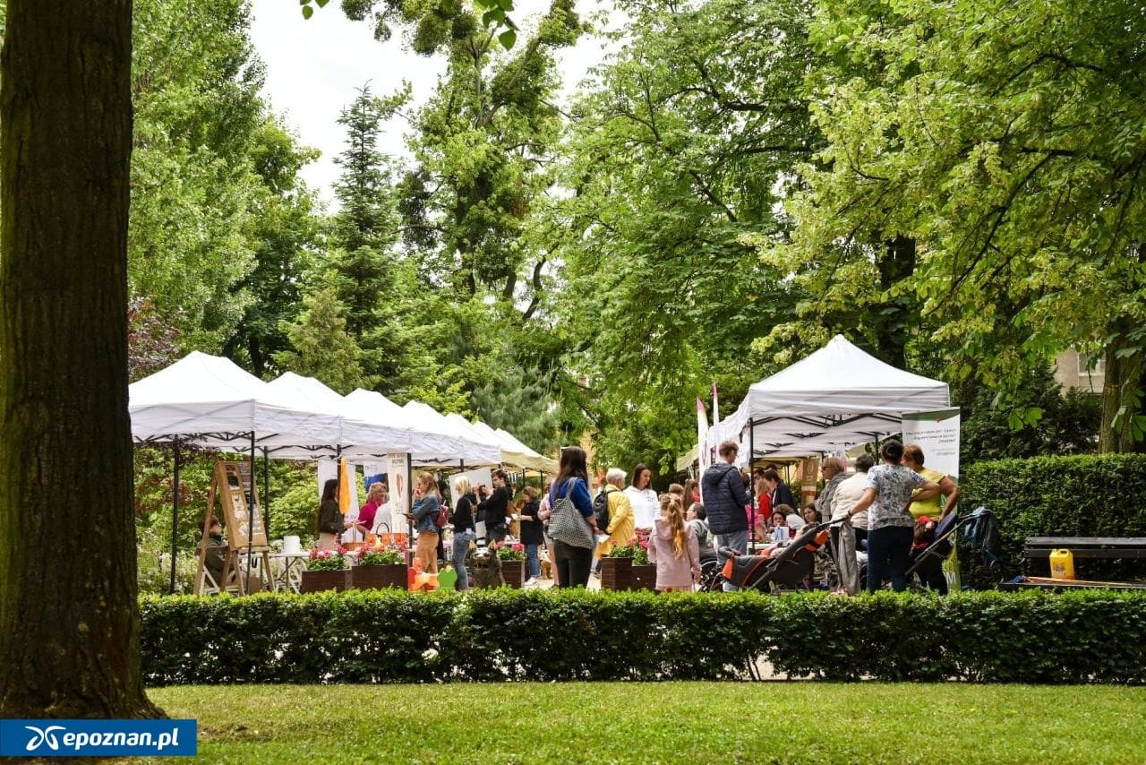 Niezwykły targ szykuje się w Poznaniu. Czekają na zgłoszenia wystawców