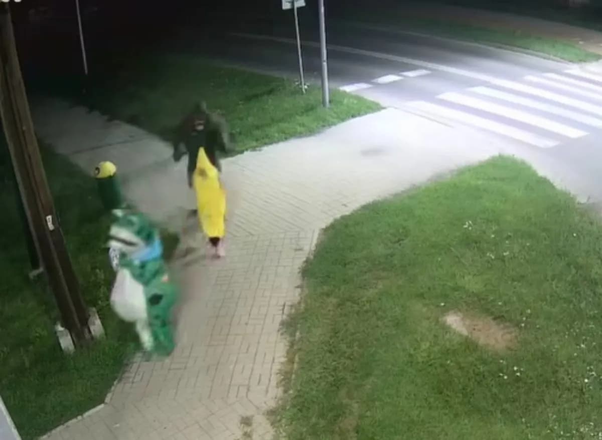 Nocą po Włodawie przechadzali się… goryl z żabą, a za nimi podążał banan