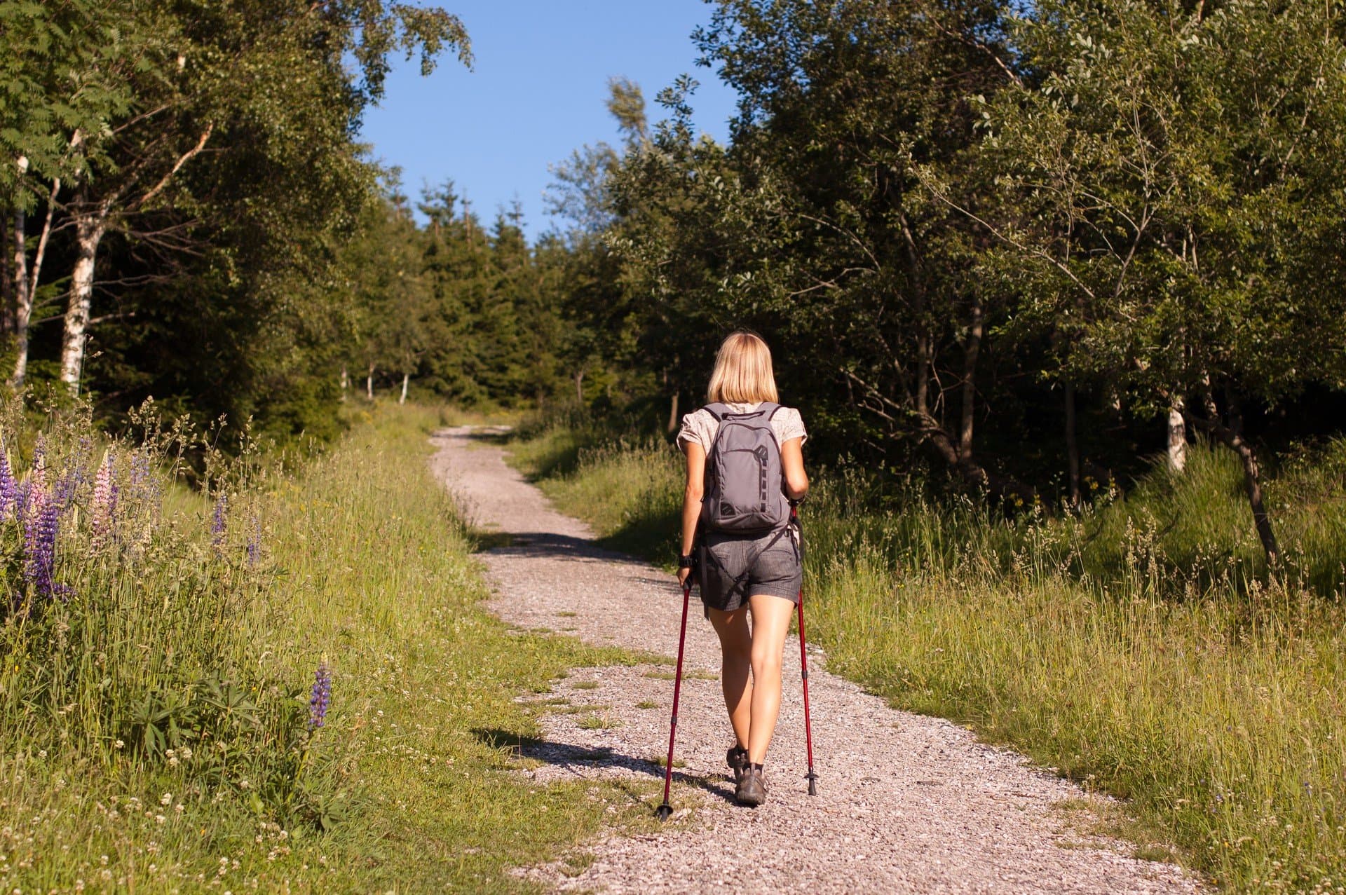Nordic walking ze Szczecinka. 3 pomysły na krótkie trasy