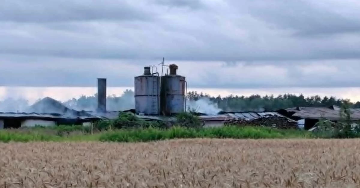 Nowe fakty w sprawie pożaru w Dąbiu. Straty sięgają miliona złotych!