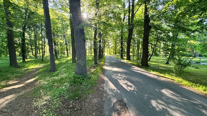 Nowe oblicze Parku im. Gabriela Narutowicza w Opolnie-Zdroju. Gmina ogłasza przetarg na rewitalizację