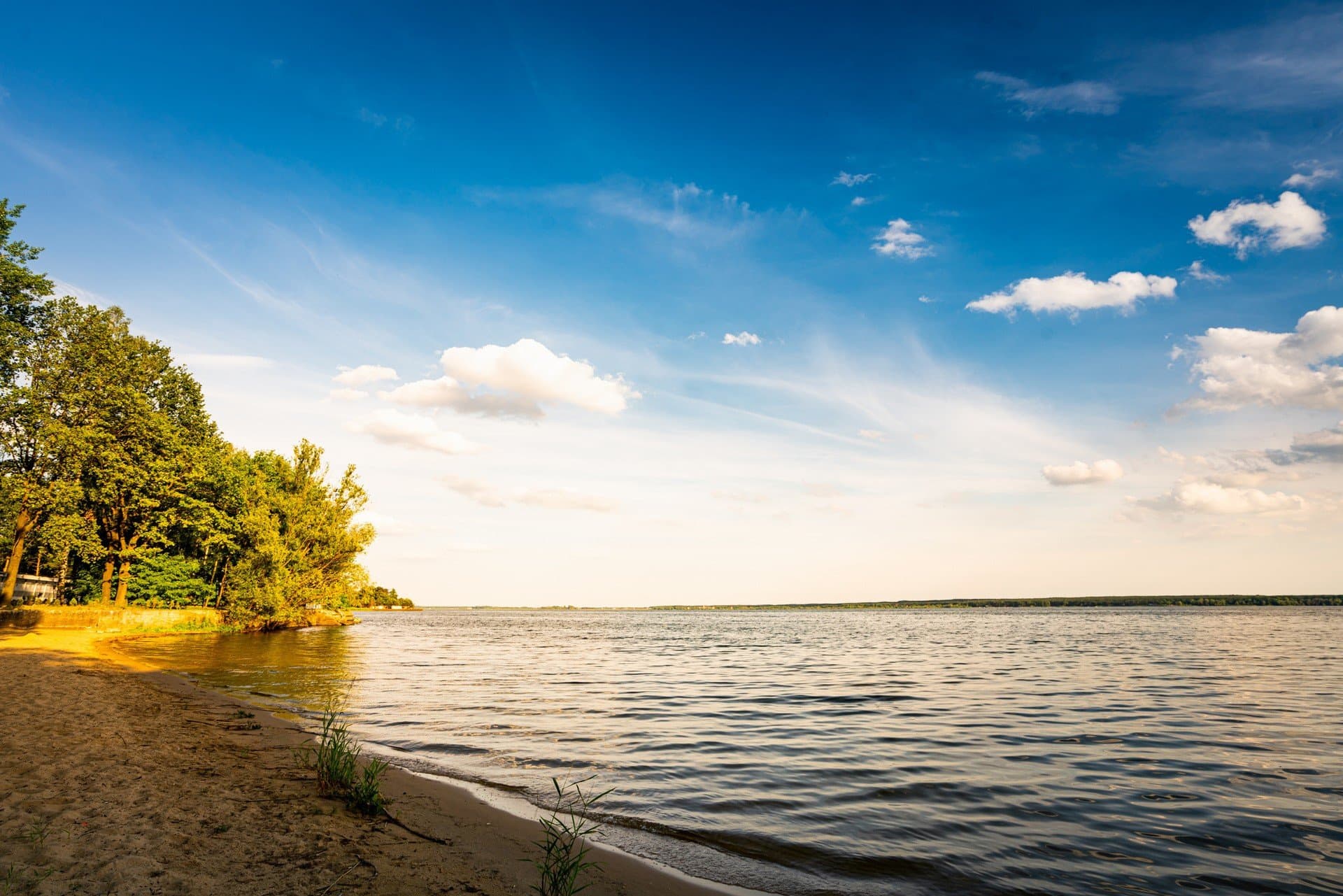 NOWEJakie kąpieliska są czynne w Stalowej Woli 7.07.2026?