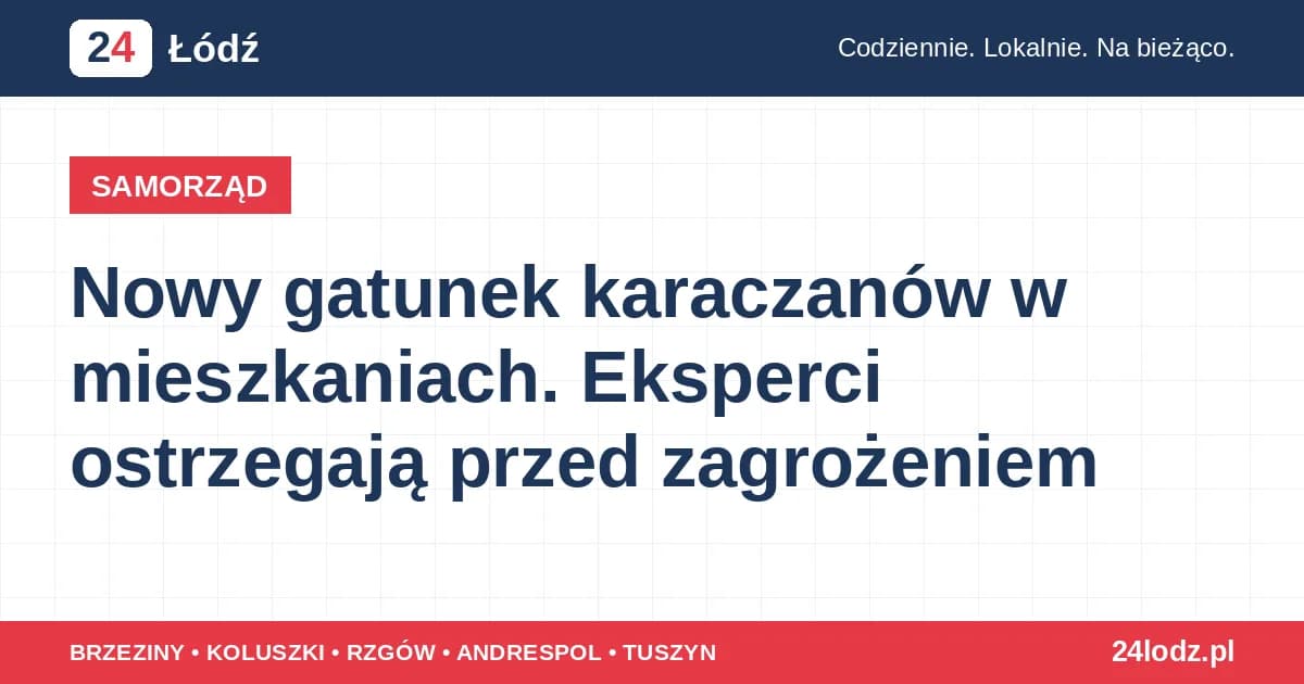 Nowy gatunek karaczanów w mieszkaniach. Eksperci ostrzegają przed zagrożeniem