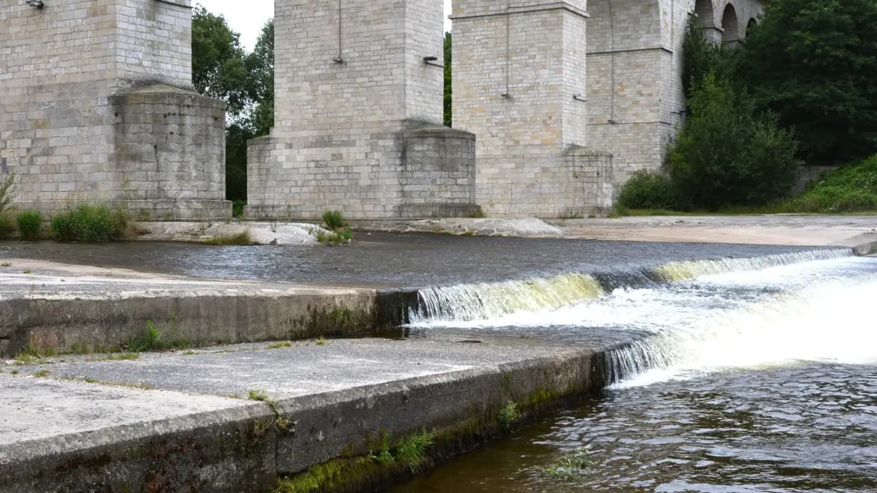 Nowy komunikat w sprawie Bobru. Są najnowsze wyniki badań i ważna decyzja dla mieszkańców