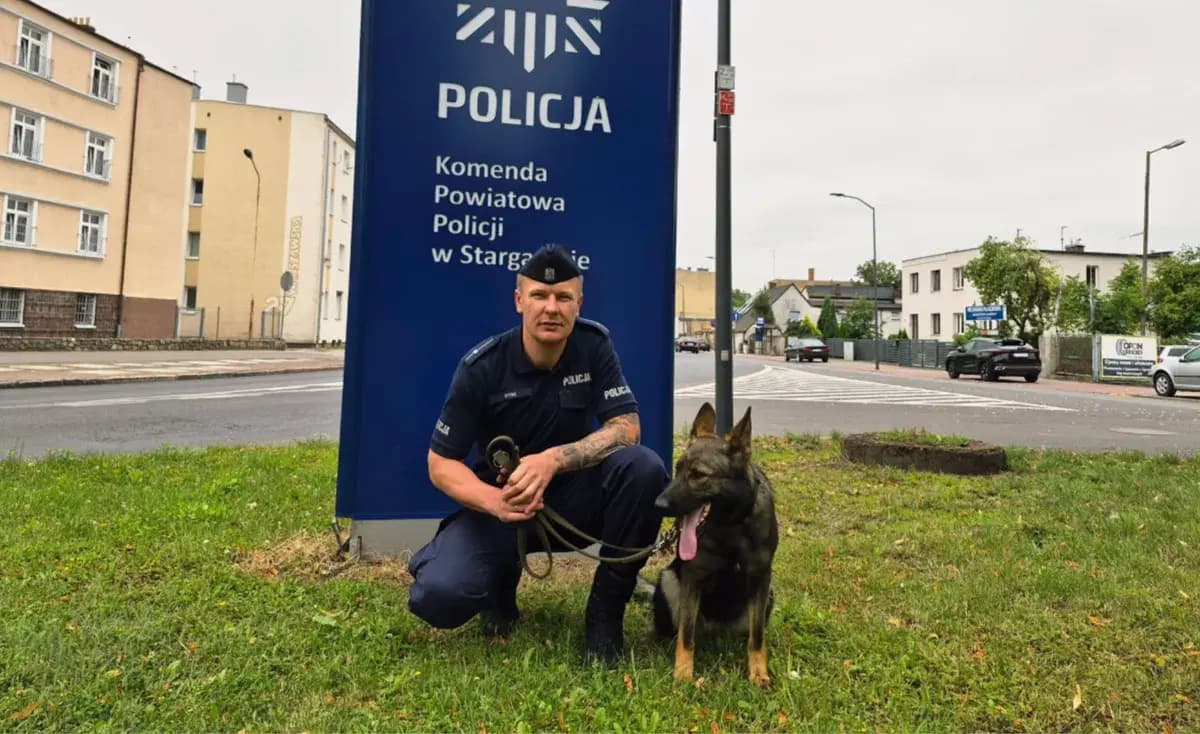 Nowy pies policji w Stargardzie ma wybuchowy węch