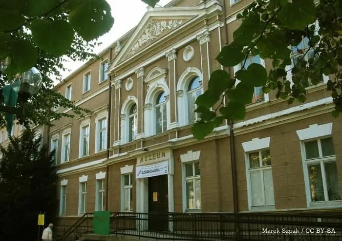 Od błota do leśnej szkoły. Fundacja z Zielonej Góry poszerza działalność