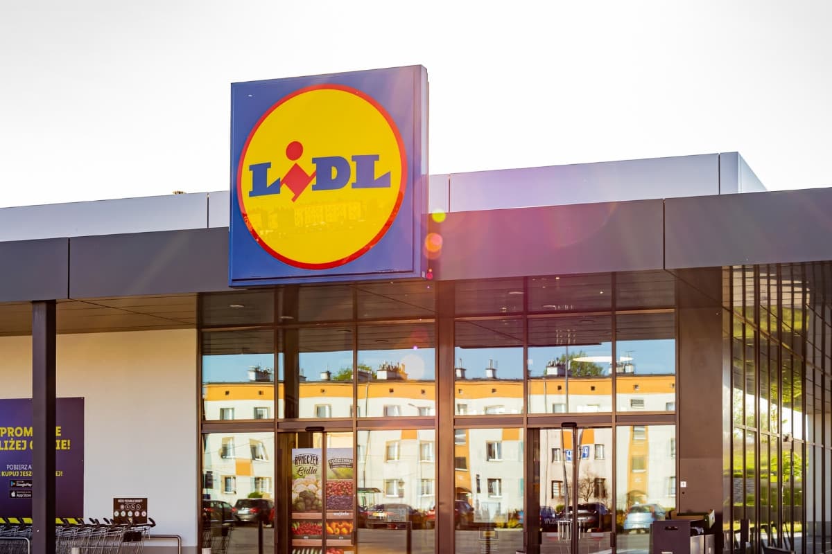 Od jutra w Lidlu po 0,01 zł. Normalnie kosztują kilkadziesiąt