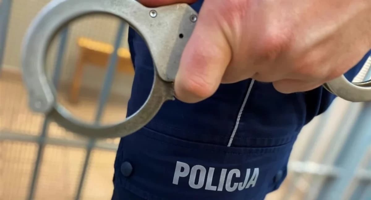 Od kradzieży sklepowej po nakazy doprowadz…