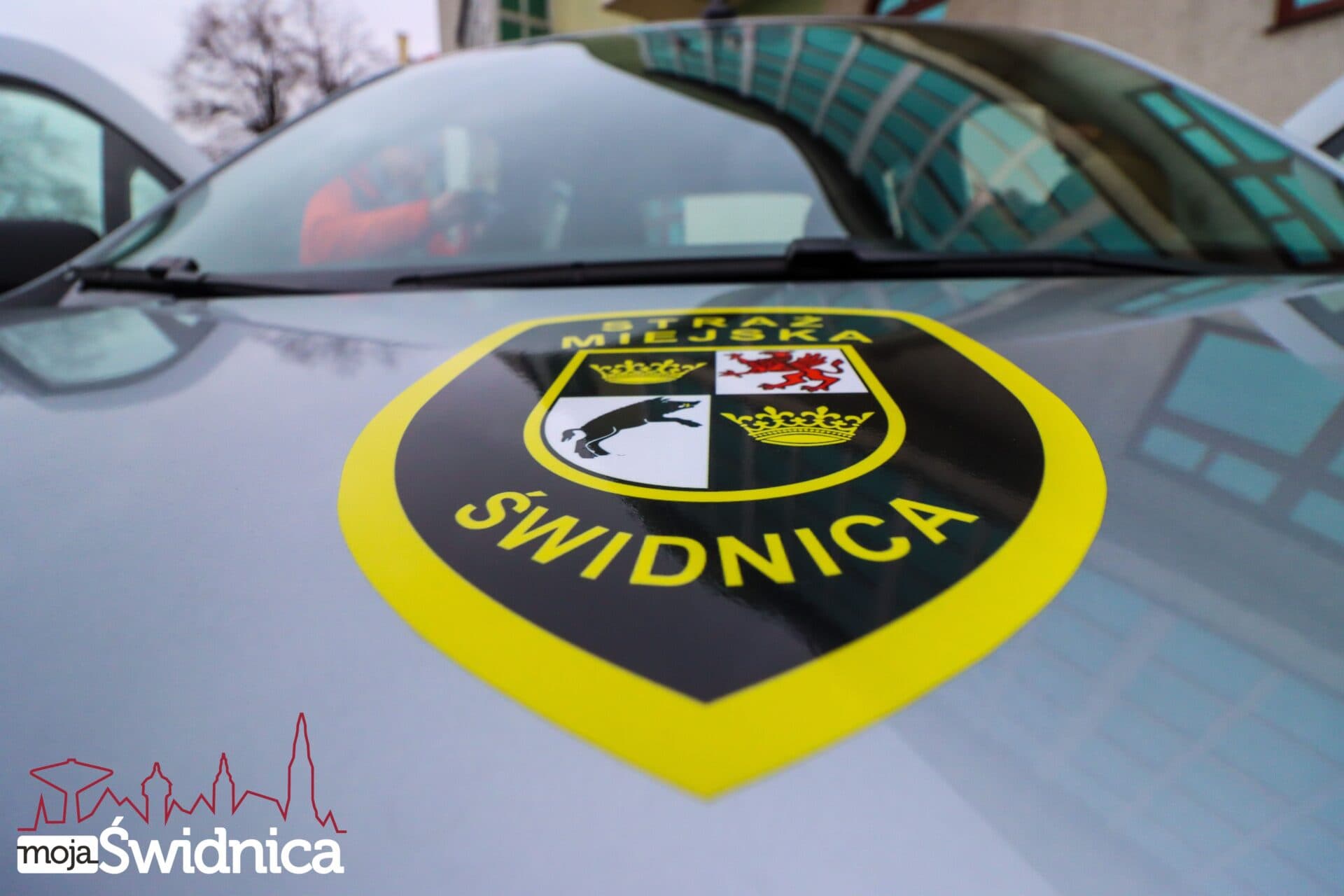 Od wycieków gazu po spacerującego żółwia. Tak wyglądał tydzień Straży Miejskiej w Świdnicy