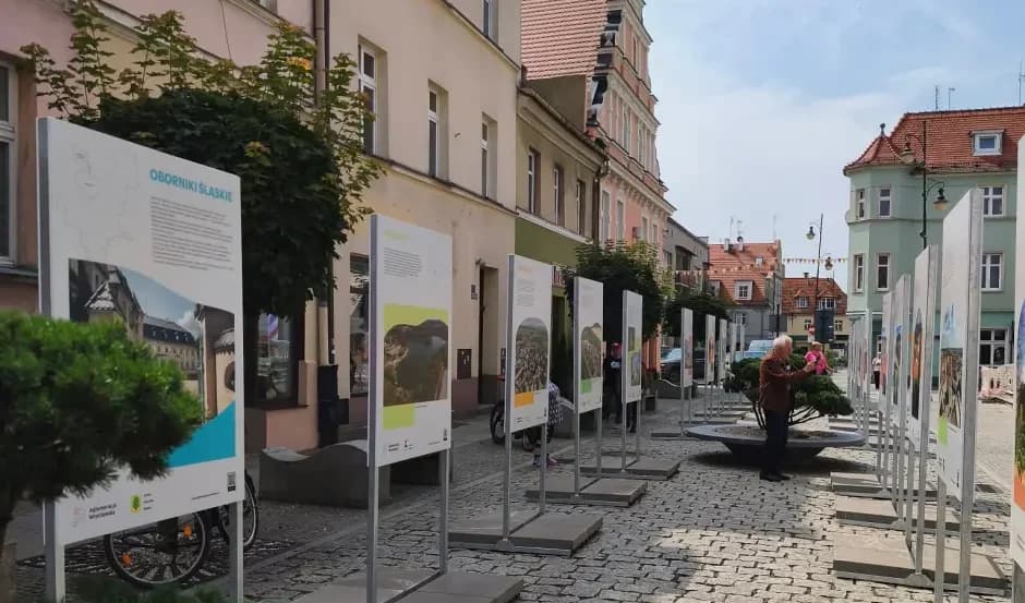 Odkryj Perły Aglomeracji Wrocławskiej w centrum Oleśnicy