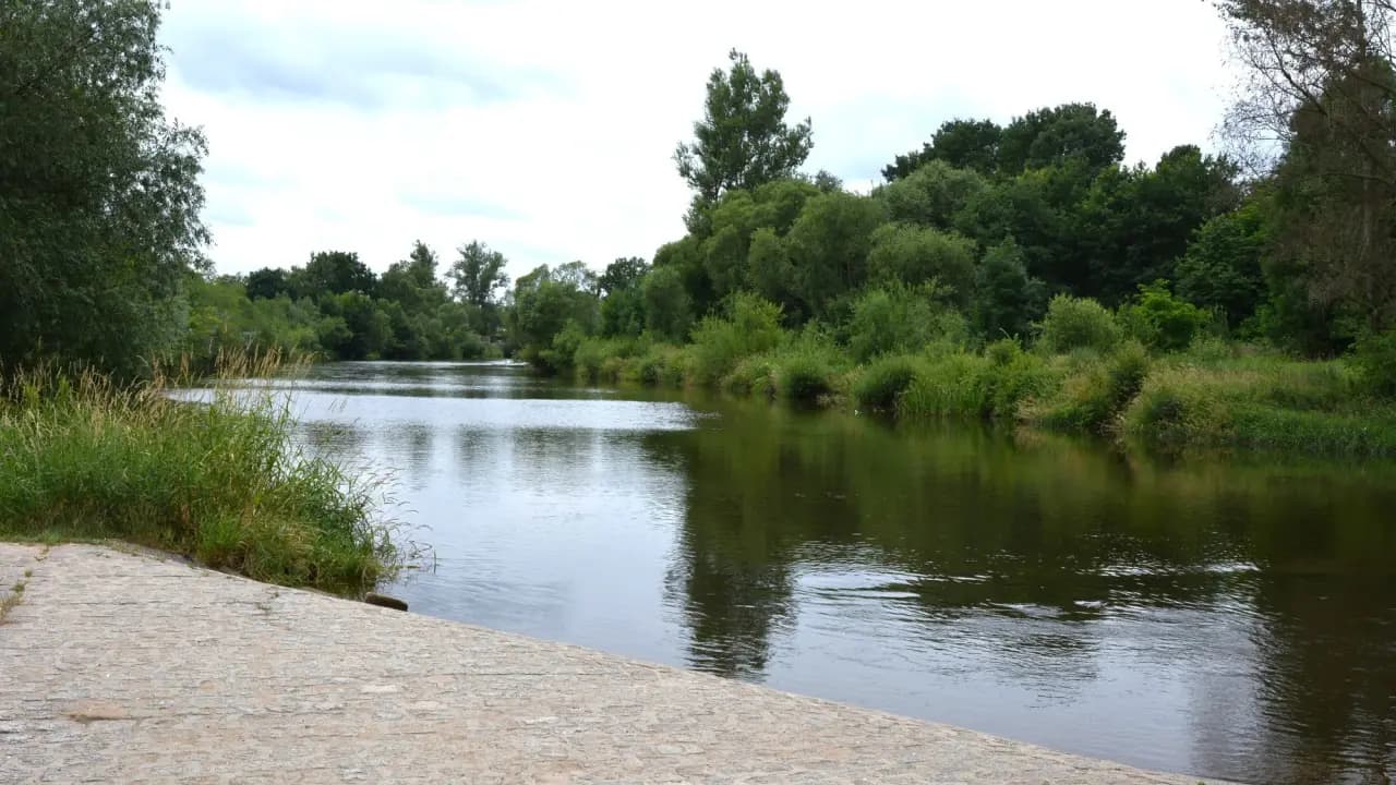 Odra bez złotych alg, ale na Bobrze nadal obowiązuje zakaz. Opublikowano nowy komunikat