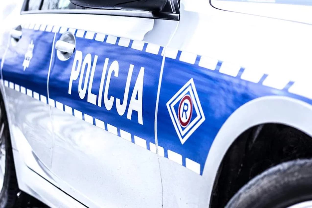 Okolice Łowicza. Kolizja z sarną na DK 92. Kierująca uniknęła obrażeń