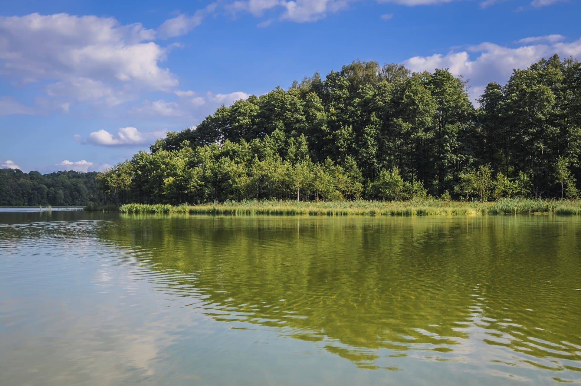Otwarte kąpieliska 13.07.2026 w Płocku