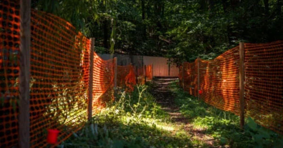 Park Arkadia przejdzie metamorfozę. Powstaną nowe alejki i więcej zieleni