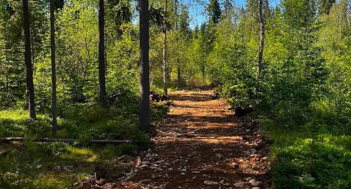 Park Bioróżnorodności nabiera kształtów - powstaje zielona wizytówka Czarnego Dunajca