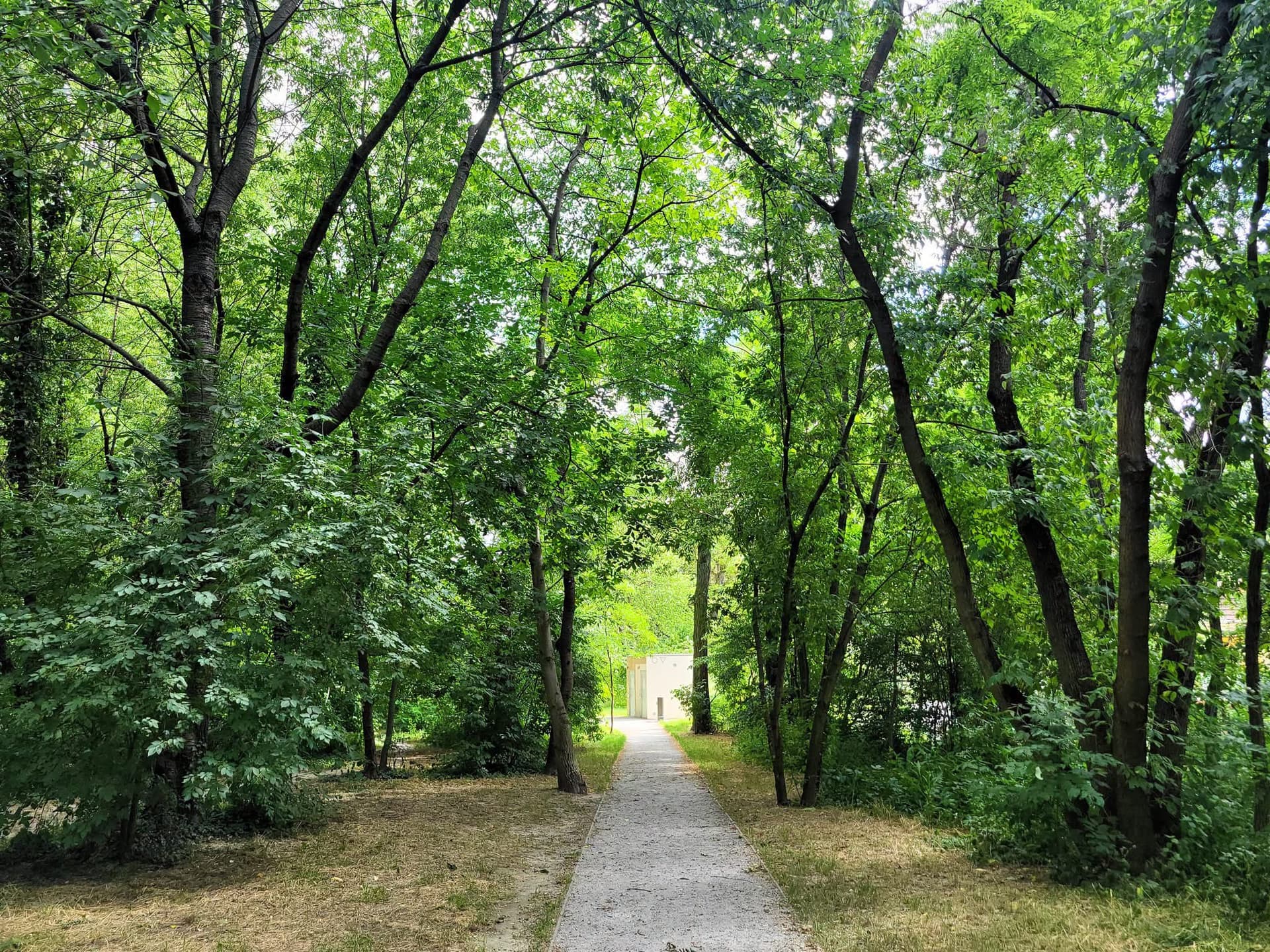 Park Łokietka zachwyca po rewitalizacji. Odkryj zieloną przestrzeń z historią w tle