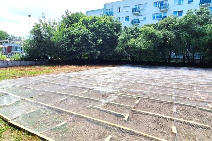 Park za murem coraz bliżej. Najpierw trzeba pokonać inwazyjny rdestowiec