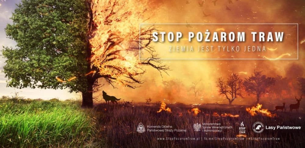 Piekary Śląskie: Wypalanie traw grozi aresztem i grzywną do 30 tys. zł