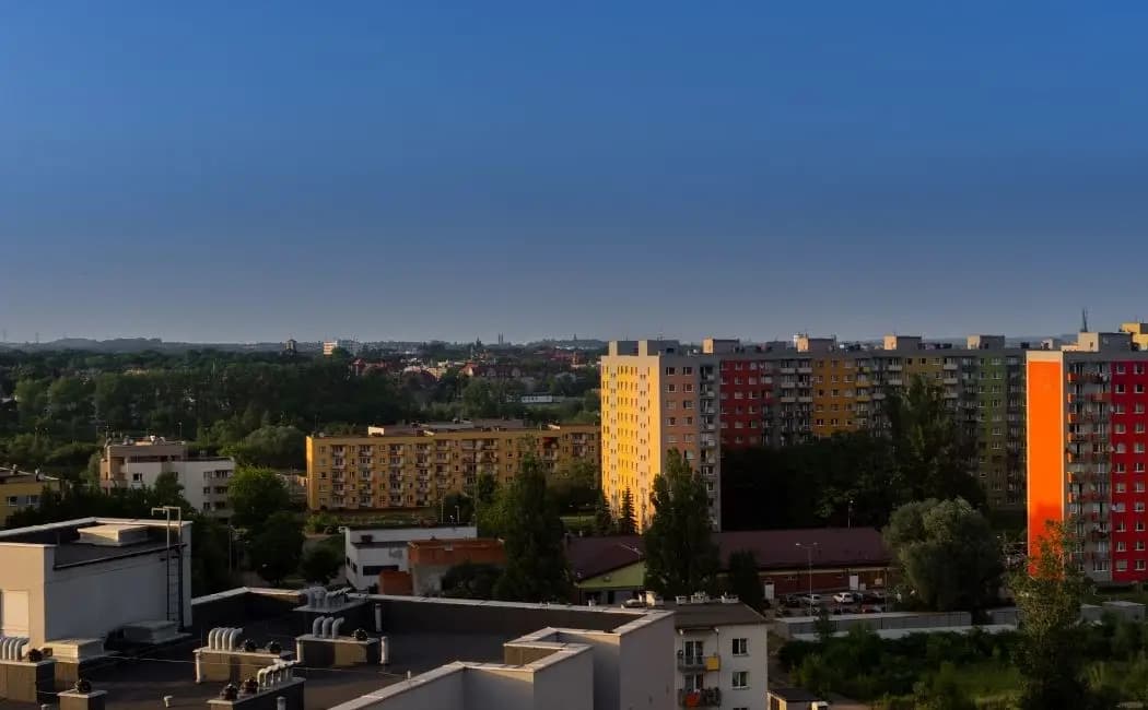 Pilates na trawie w Miechowicach. Ćwiczenia z widokiem na pałac