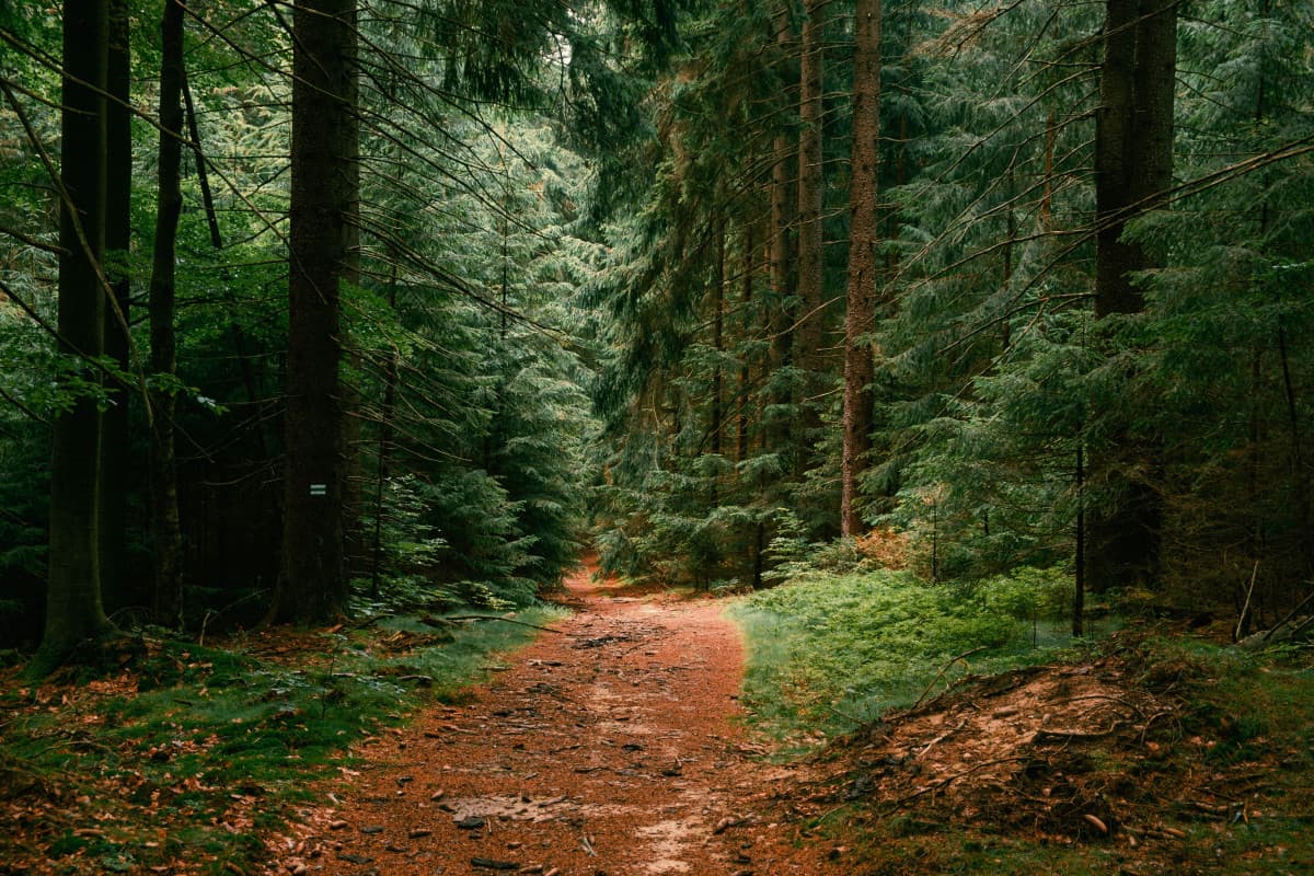 Płacimy za coś, co kiedyś było normą. Czym jest deadzone travelling?
