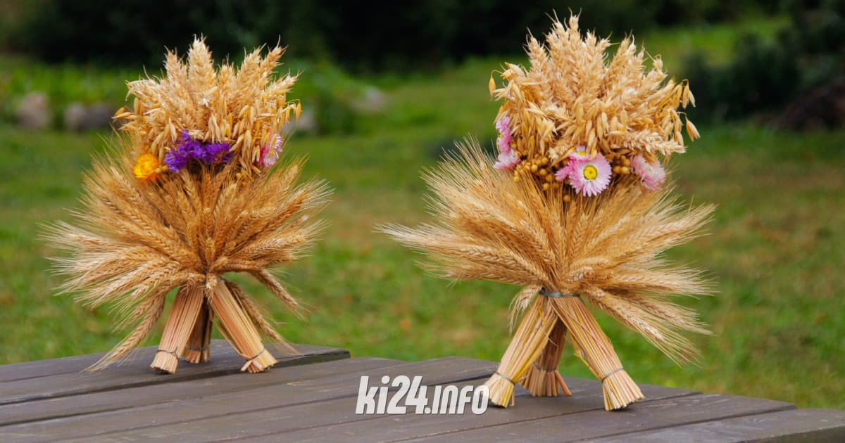 Plony, folklor i Red Queen na dożynkach