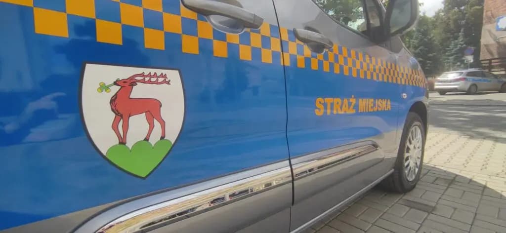 Podsumowanie weekendu w Jeleniej Górze