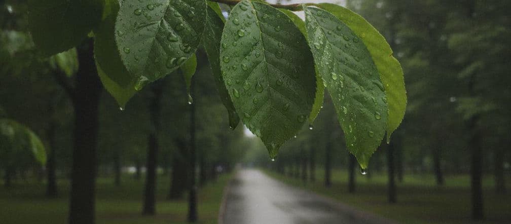 Pogodowa huśtawka nadciąga nad Olsztyn. Będzie upał, ale zaraz potem przyjdzie deszcz i chłód!
