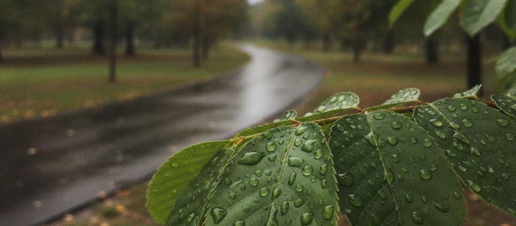 Pogodowe zawirowania nad Soliną! Będzie upalny piątek, ale weekend zakończy się ulewą