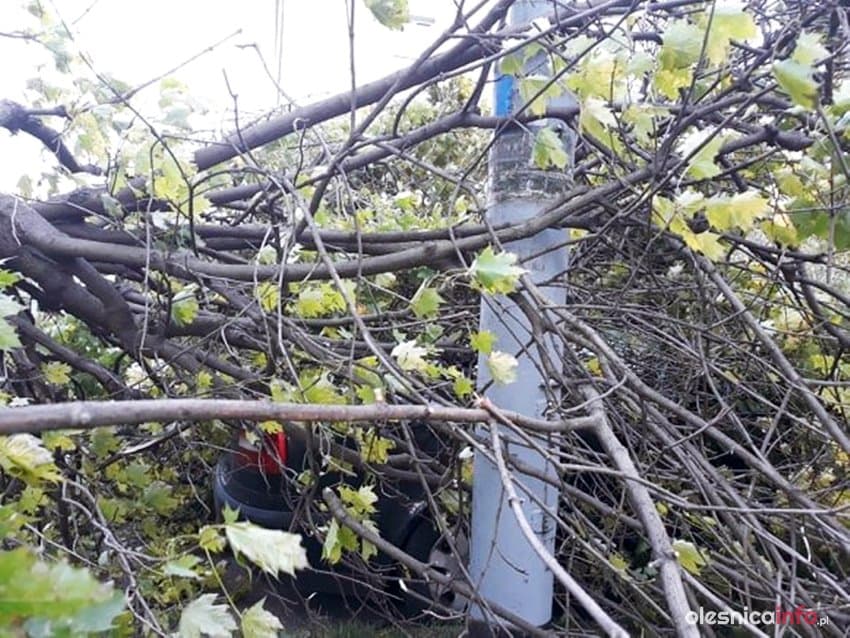 Połamane drzewa, uszkodzone auto i pilne interwencje strażaków