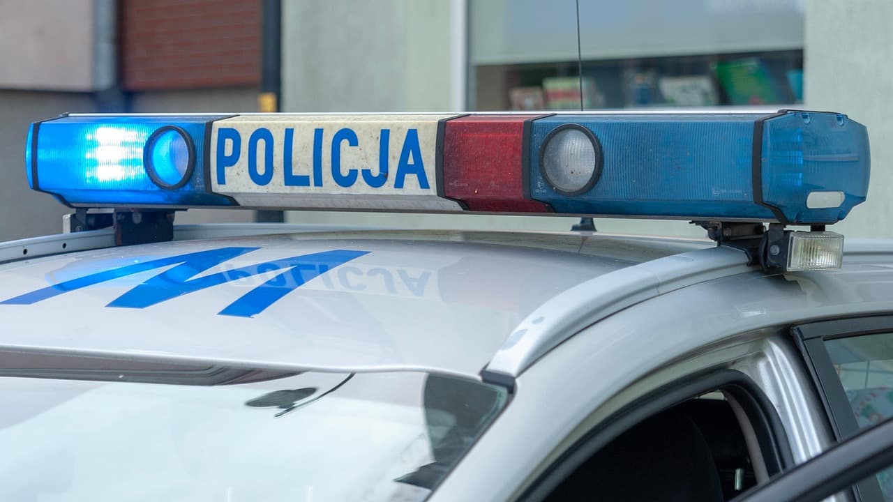 Policjantka z Bydgoszczy i żołnierz z Torunia z zarzutami po bójce w Lubiczu Dolnym