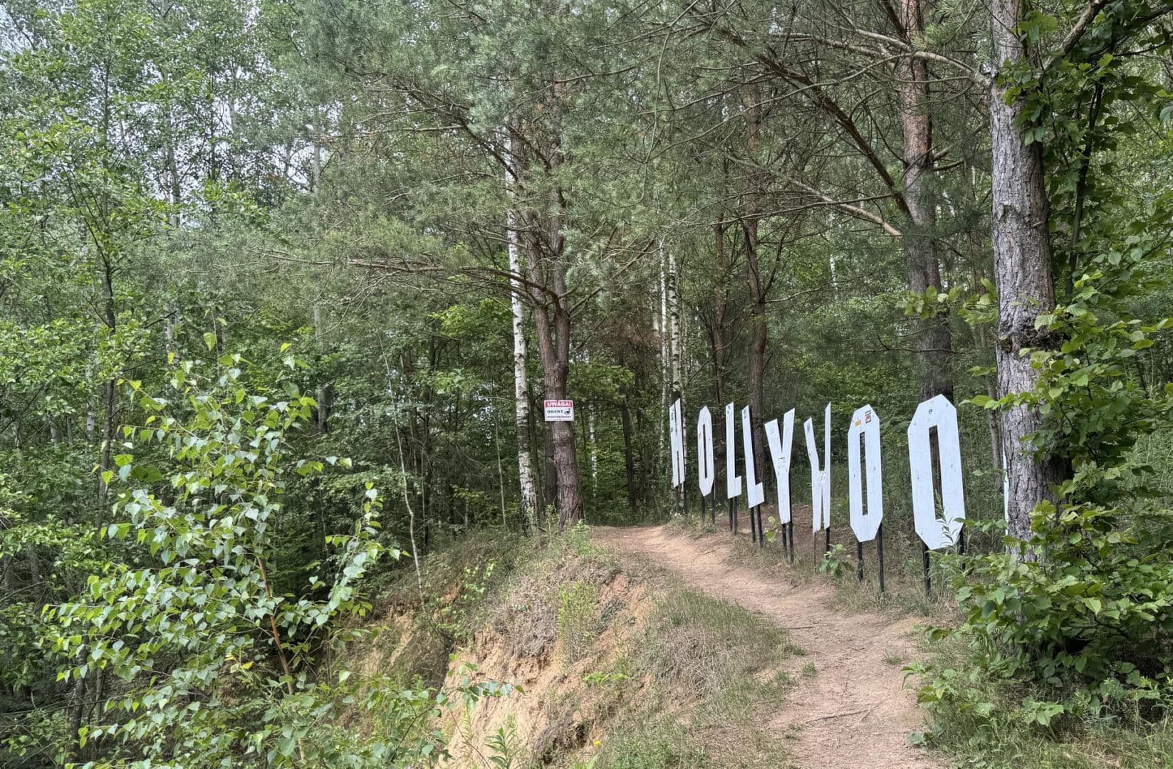Polskie Hollywood na wyciągnięcie ręki. Słynny napis przyciąga turystów na Lubelszczyźnie
