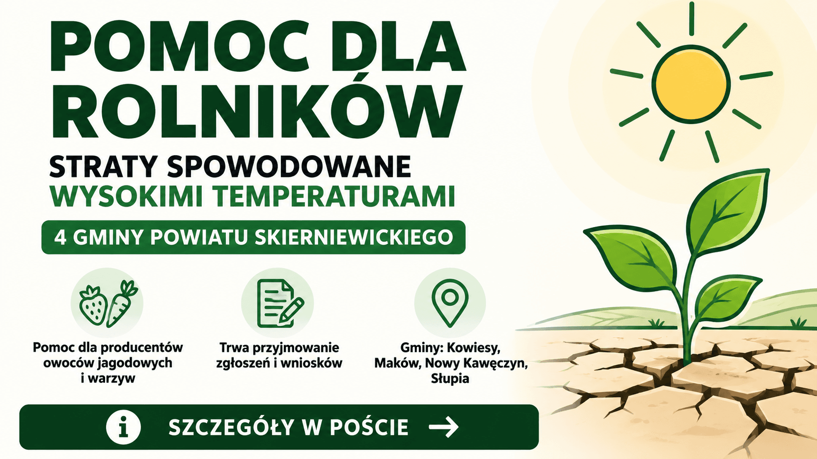 Pomoc dla rolników po fali upałów. Cztery gminy z powiatu skierniewickiego przyjmują zgłoszenia