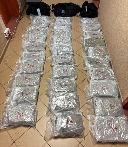 Ponad 67 kilogramów narkotyków przejęli zachodniopomorscy policjanci. Dwie osoby zatrzymane