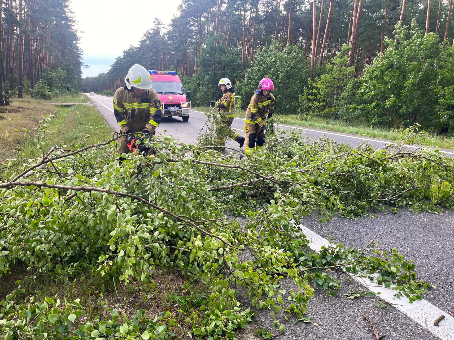 Ponad 700 razy interweniowali strażacy w kraju w ciągu ostatniej doby