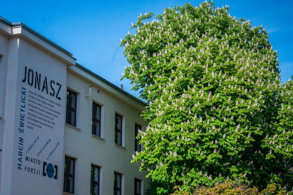 Ponad 880 wolnych miejsc w lubelskich szkołach ponadpodstawowych. Ruszyła rekrutacja uzupełniająca