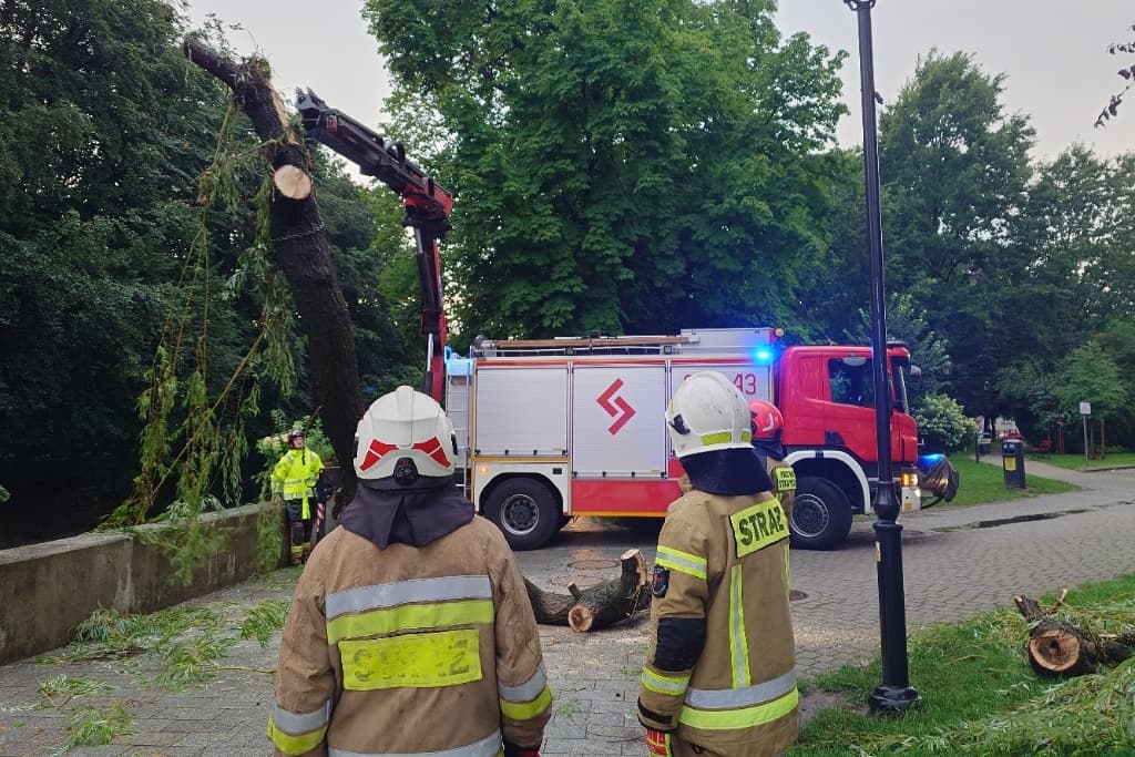 Ponad dwieście wyjazdów bielskich strażaków