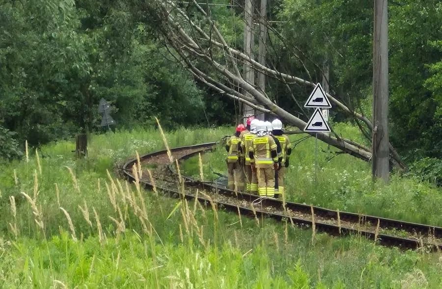 Porywisty wiatr powalił drzewo na tory. Pociągi na trasie Kalwaria – Wadowice stanęły