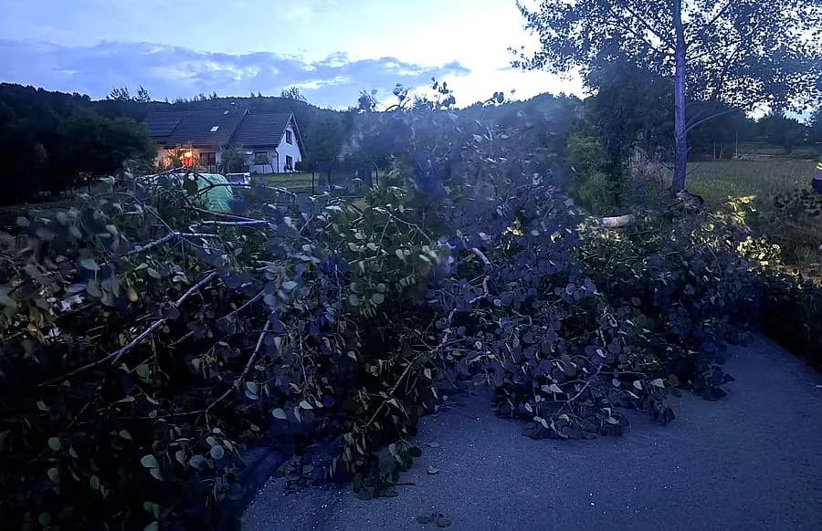 Powalone drzewa na drogach i ludzie bez prądu. Wichura dała w kość w wadowickim
