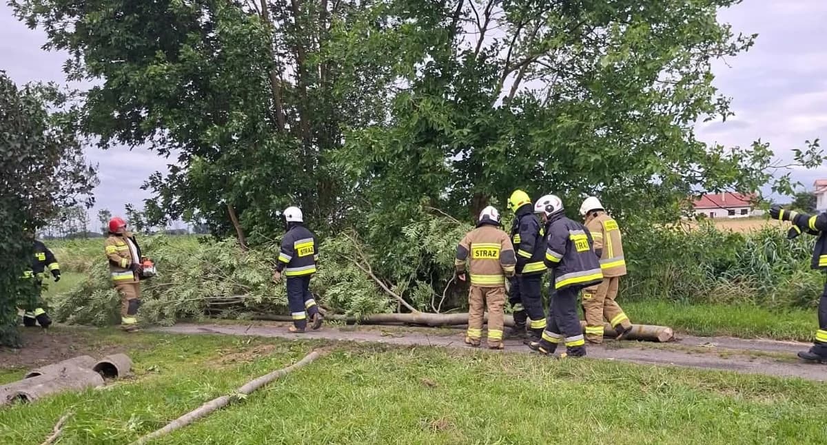 Powalone drzewo zablokowało drogę do posesji. Interweniowali strażacy z dwóch jednostek
