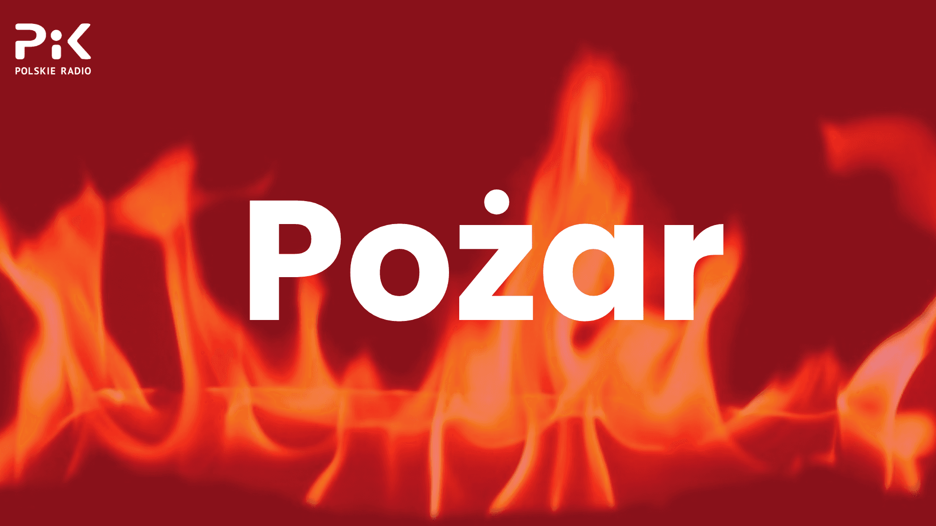 Pożar lasu niedaleko poligonu w Małej Nieszawce. Do akcji skierowano samolot gaśniczy