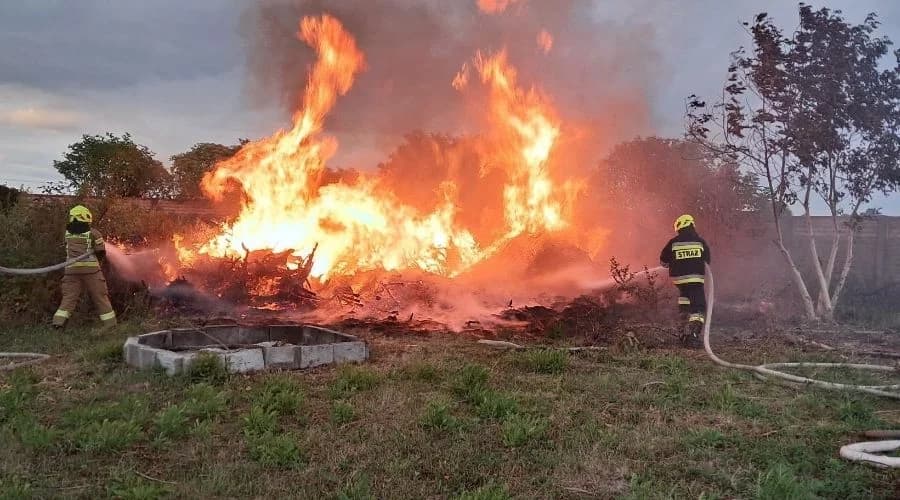 Pożar pod Piotrkowem. Strażacy walczyli z ogniem ponad dwie godziny