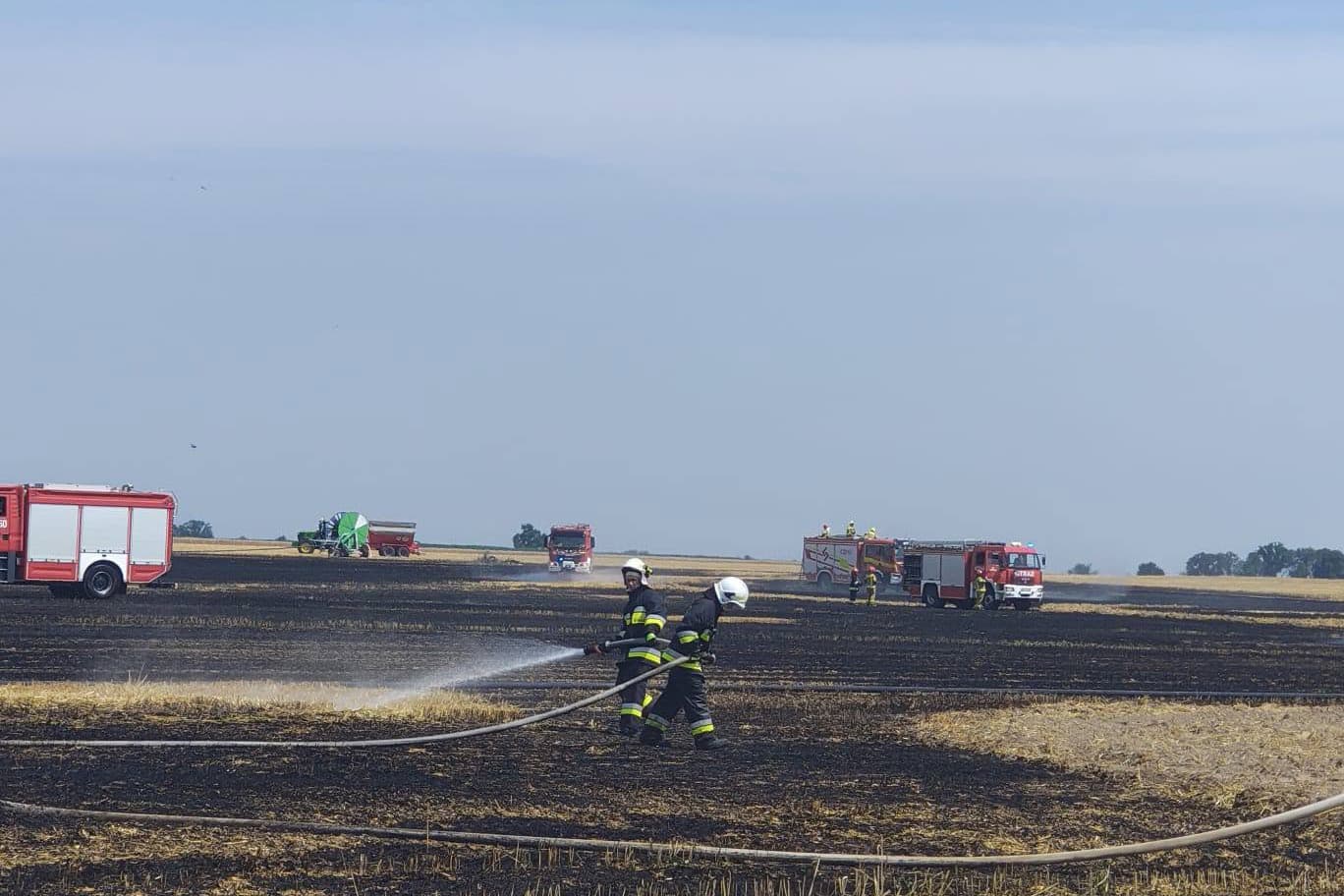 Pożar ścierniska w Krzywiczynach. Spłonęło około 5 hektarów pola