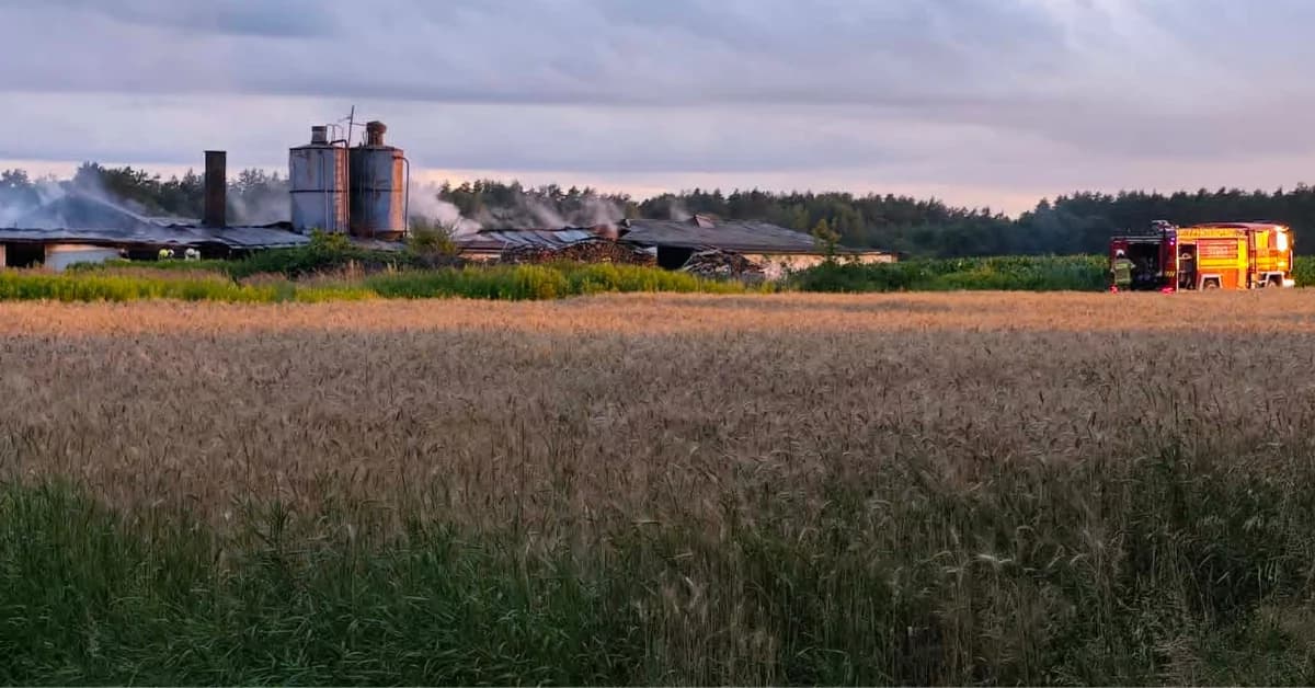 Pożar w Dąbiu. Spłonął wielki kurnik, w akcji kilkudziesięciu strażaków