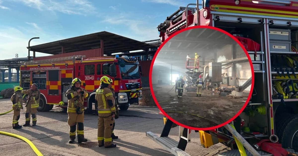 Pożar w hali po dawnych Zakładach Mięsnych MAT. 6 zastępów straży w akcji