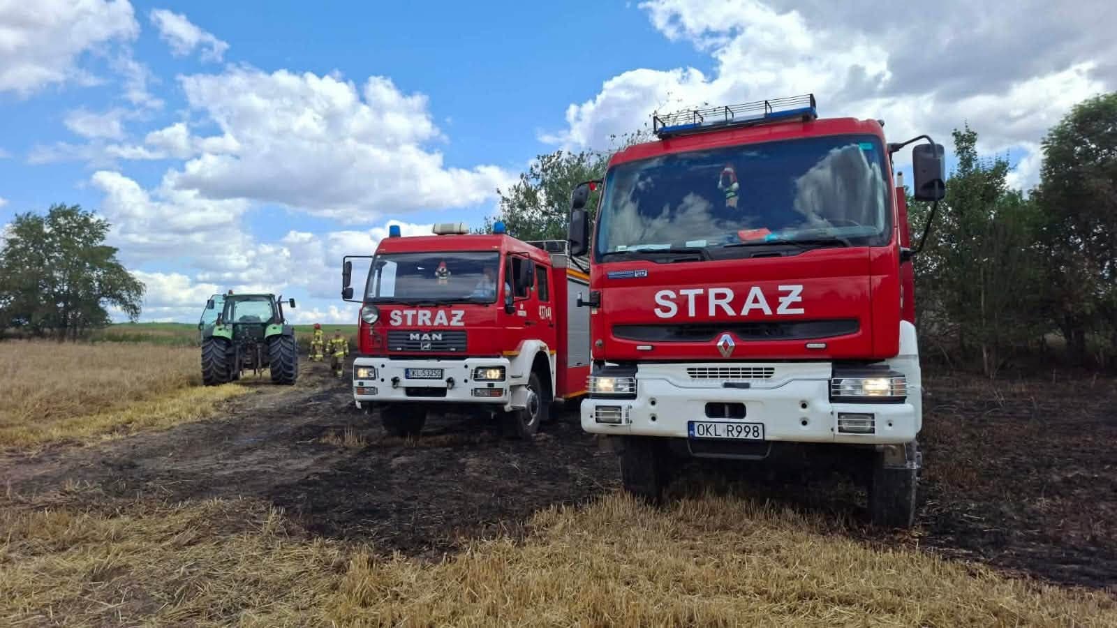 Pożar zboża na pniu w Komorznie. Dzięki szybkiej reakcji mieszkańców i strażaków ogień nie dotarł do zabudowań
