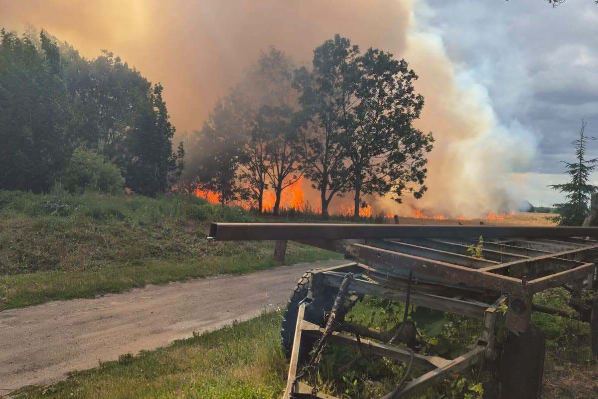 Pożar zboża na pniu w Łące Prudnickiej. Dzięki szybkiej akcji udało się opanować ogień